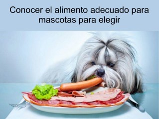 Conocer el alimento adecuado para mascotas para elegir