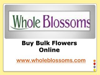 Buy Bulk Flowers Online - www.wholeblossoms.com