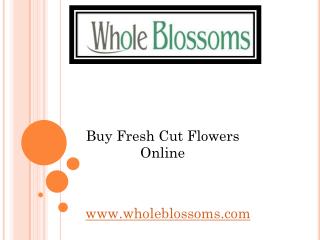 Buy Fresh Cut Flowers Online