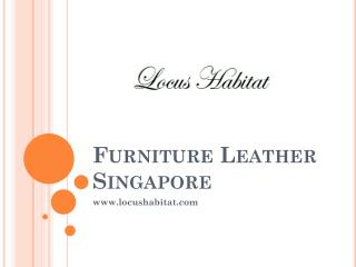 Furniture Leather Singapore - www.locushabitat.com