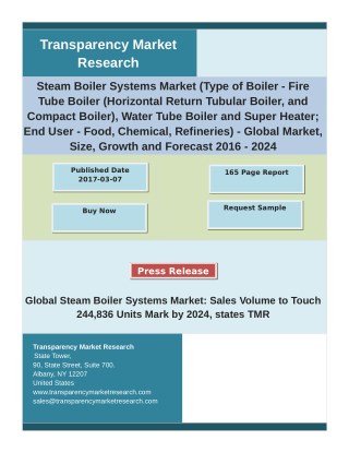 Steam Boiler Systems Market: In-depth Research Report segmented based on Type and End-User Industry 2024