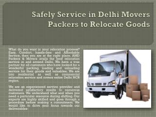 Safely Service in Delhi Movers Packers to Relocate Goods