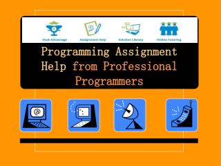 Programming Assignment Help from Professional Programmers