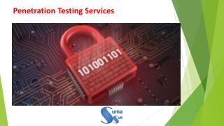 Penetration Testing Services