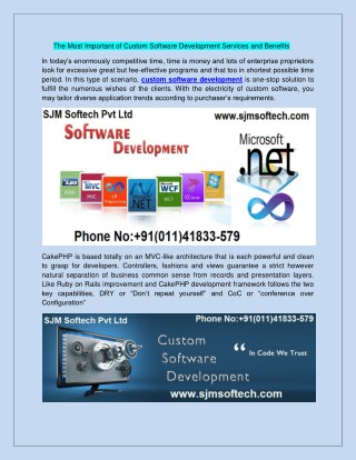The Most Important of Custom Software Development Services and Benefits
