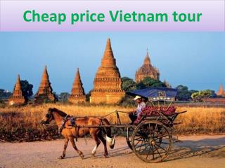 Vietnam Private Tours