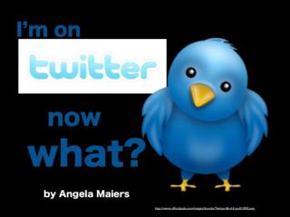 I'm on Twitter- Now What?