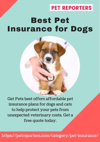 Best Pet Insurance for Dogs