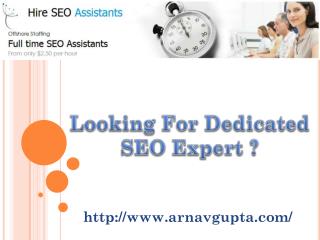 Dedicated SEO Expert