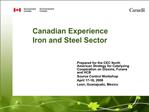 Canadian Experience Iron and Steel Sector