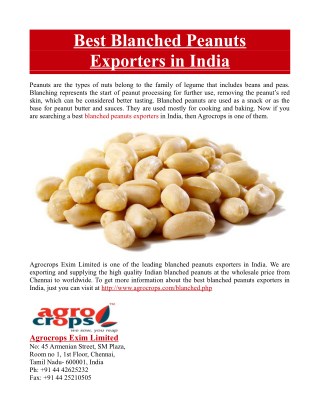 Best Blanched Peanuts Exporters in India