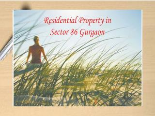 Residential Property in Sector 86 Gurgaon