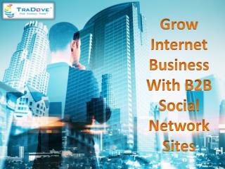 Grow Internet Business With B2B Social Network Sites