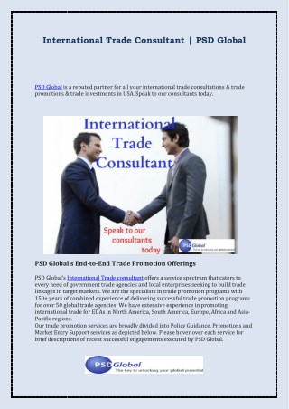 International Trade Consultants USA | PSD Global