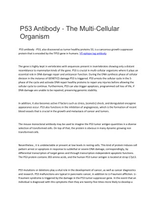 P53 Antibody - The Multi-Cellular Organism