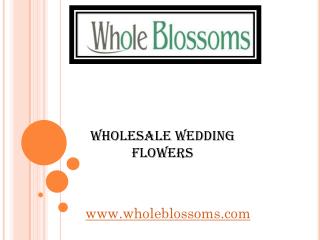 Wholesale Wedding Flowers - wholeblossoms.com