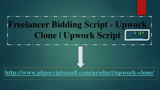 Upwork Script - Upwork Clone | Freelancer Bidding Script