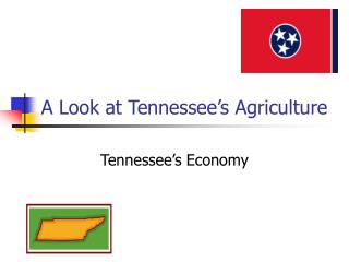 A Look at Tennessee’s Agriculture