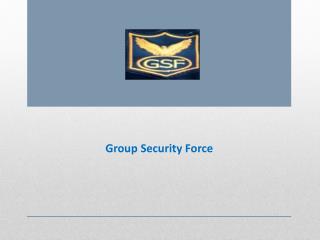 Security Services Provider in Pune – Group Security Force