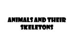 Animals and Their Skeletons