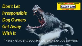 Don’t Let Irresponsible Dog Owners Get Away with It