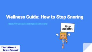 Wellness Guide- How to Stop Snoring
