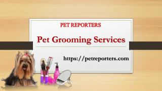 Pet Grooming Services