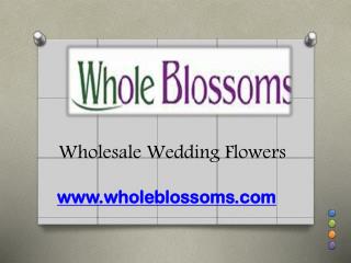 Wholesale Wedding Flowers - www.wholeblossoms.com