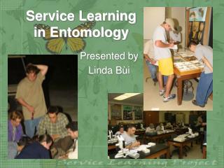 Service Learning in Entomology