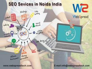 SEO Sevices in Noida India