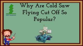 Why Are Cold Saw Flying Cut Off So Popular?