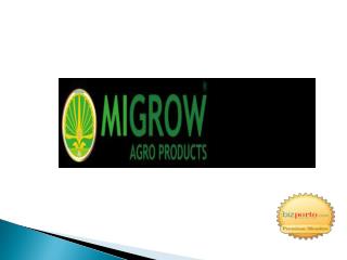 MIGROW AGRO PRODUCTS Wholesaler and Supplier in Pune