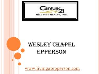 Wesley Chapel Epperson - livingatepperson.com