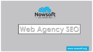 Nowsoft Is The Only Web Agency SEO To Give Flat Pricing