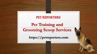 Pet Training and Grooming Scoop Services