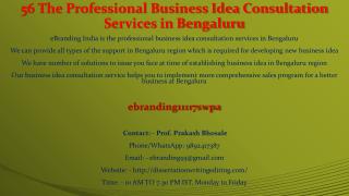 56 The Professional Business Idea Consultation Services in Bengaluru