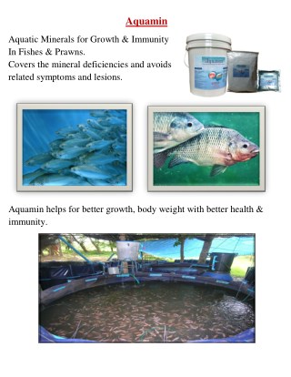 Aquaculture feed supplement