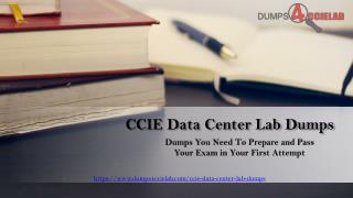 CCIE Data Center Lab Workbook