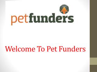 Pet Funders Loan | Pet Funders &#8211; Pet Loans and Finance for Vet Costs