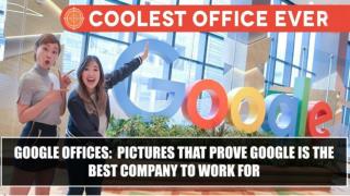 Google Offices: Pictures That Prove Google Is The Best Company To Work For