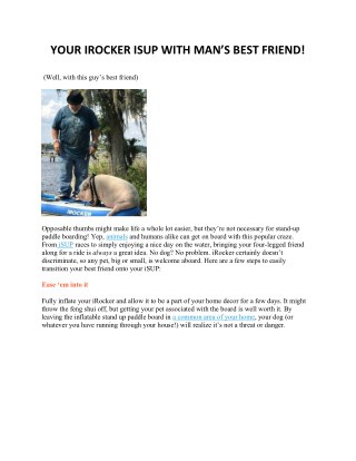 man's best friend boarding