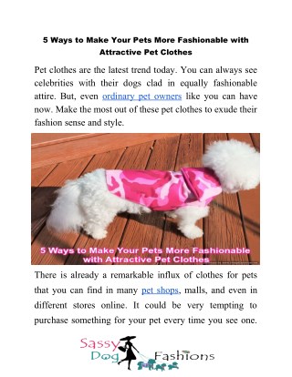 5 Ways to Make Your Pets More Fashionable with Attractive Pet Clothes
