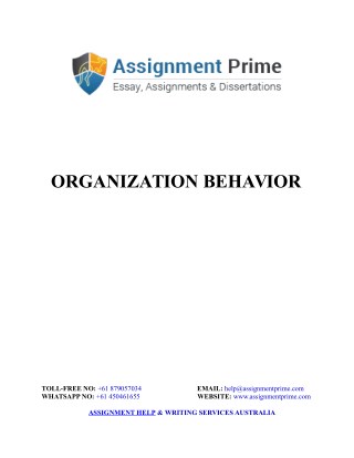 Assignment Prime Sample - An Introduction to Organization Behavior