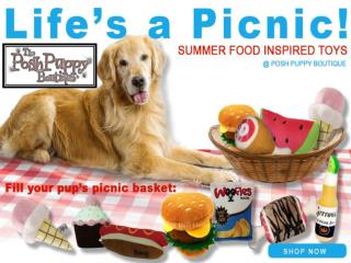 Fill Your Pup’s Picnic Basket With Posh Puppy Boutique