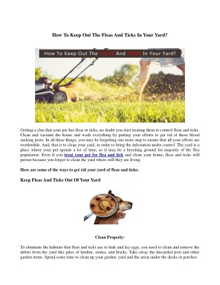 How To Keep Out The Fleas And Ticks In Your Yard