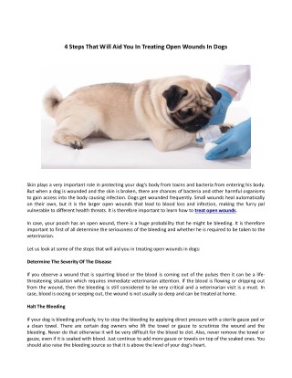 4-Steps-That-Will-Aid-You-In-Treating-Open-Wounds-in-Dogs