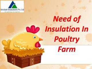 Need of Insulation in Poultry Farm | Poultry Farm Insulation
