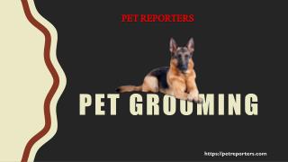 Pet Grooming