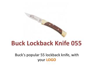 Buck Lockback Knife 055