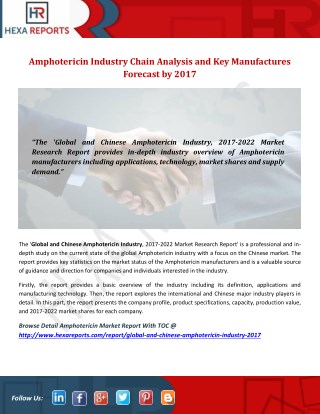 Amphotericin Industry Chain Analysis and Key Manufactures Forecast by 2017
